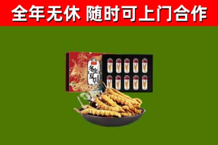 崇左回收冬虫夏草价格